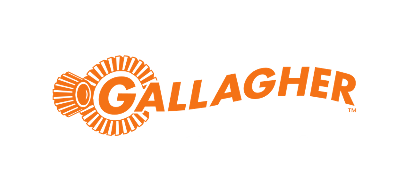 Gallagher Security